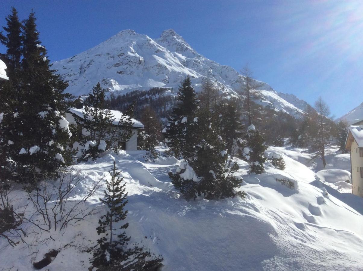 Chesa La Montanella - Ferienwohnung, Maloja Εξωτερικό φωτογραφία